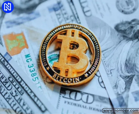 The Power of Investing Early: How Buying $NOMOX Now Could Shape Your Future.